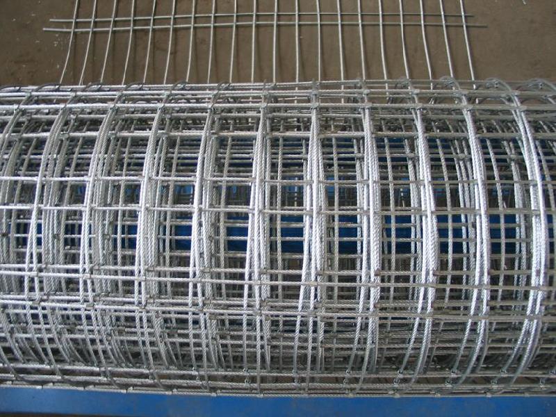 Welded wire mesh