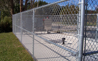 Chain Link Fence