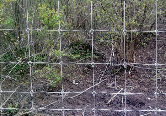 Grassland fence